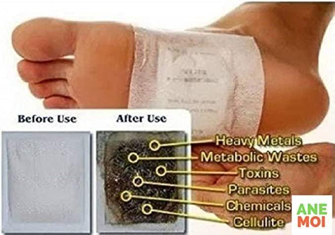 Herbal Detox Foot Patch (10 Pcs)